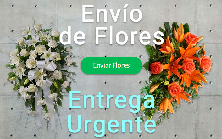 Envio de flores urgente a Tanatorio Almería